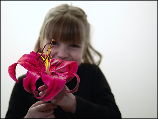 20110329212950_offrir_des_lys_01.jpg 20110329212950_offrir_des_lys_01.jpg