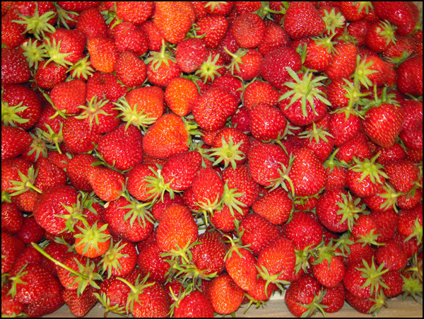 20110329214017_coolpix_0571.jpg 20110329214017_coolpix_0571.jpg