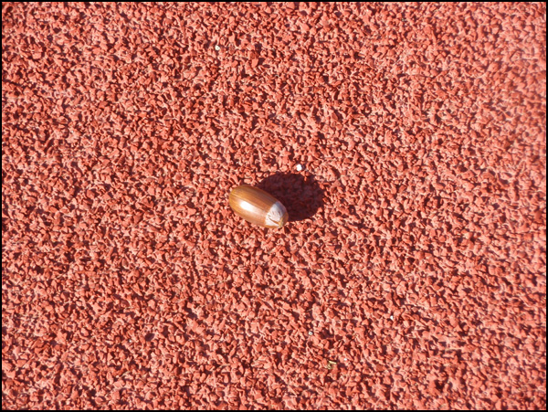 20110329214017_pa270176.jpg 20110329214017_pa270176.jpg