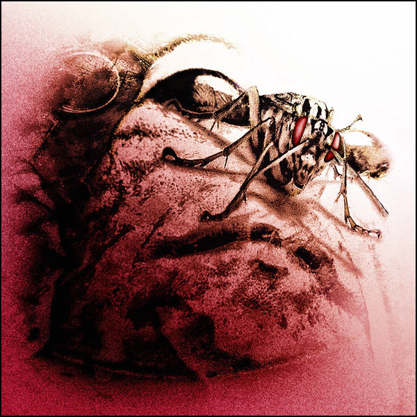 20110329224613_rouge_1_copie.jpg 20110329224613_rouge_1_copie.jpg