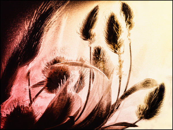 20110329224613_rouge_4.jpg 20110329224613_rouge_4.jpg