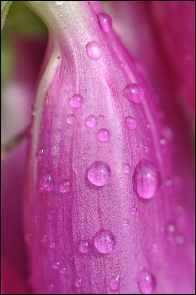 20110329230159_2009_07_12__047.jpg 20110329230159_2009_07_12__047.jpg