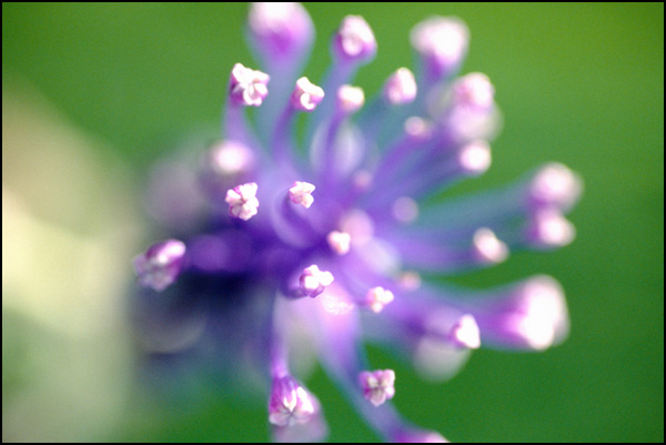 20110329230200_2007_05_08_.jpg 20110329230200_2007_05_08_.jpg