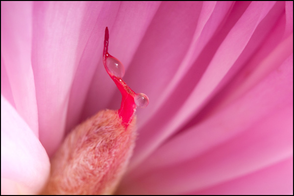 20110329235659_20090524_img_1650.jpg 20110329235659_20090524_img_1650.jpg