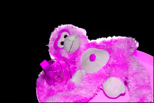 20110330000408__magenta_le_singe.jpg 20110330000408__magenta_le_singe.jpg