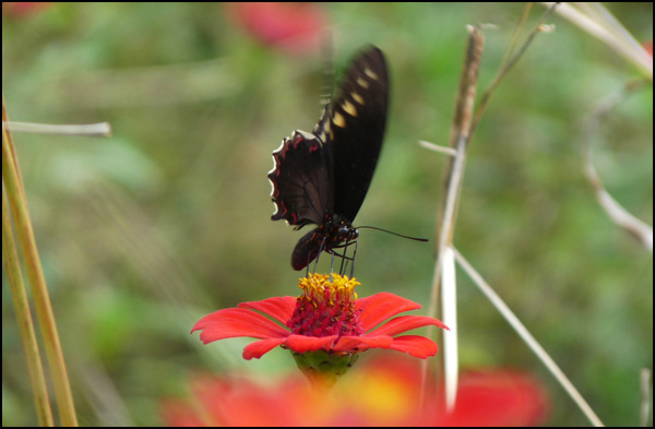 20110330001445_tecmo.jpg 20110330001445_tecmo.jpg