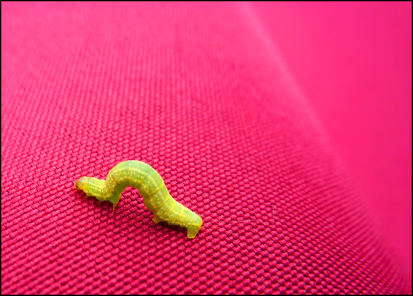 20110330033514_errance.jpg 20110330033514_errance.jpg