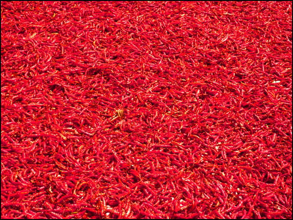 20110330033514_pimente!!!.jpg 20110330033514_pimente!!!.jpg