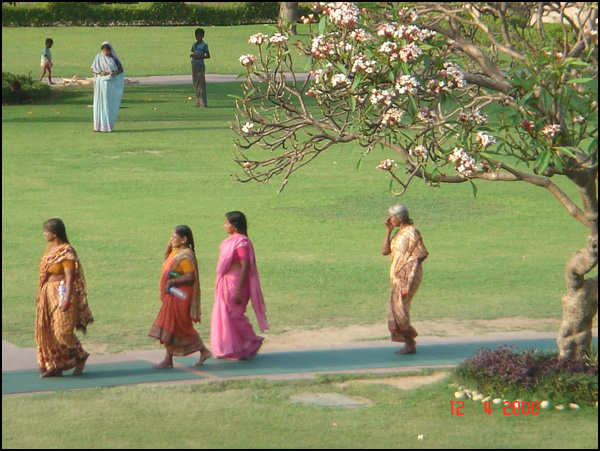 20110330102434_nestle_2008_1213.jpg 20110330102434_nestle_2008_1213.jpg