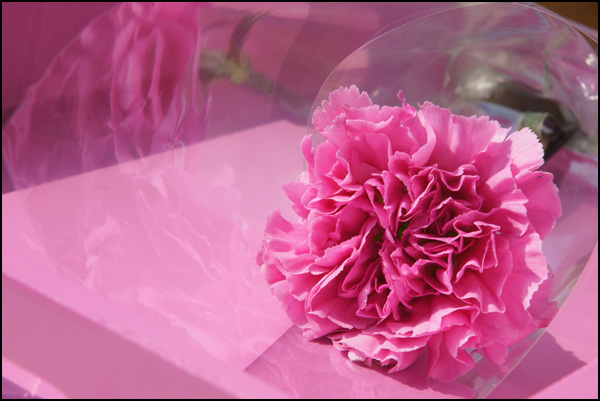 20110330142858_dsc01404.jpg 20110330142858_dsc01404.jpg