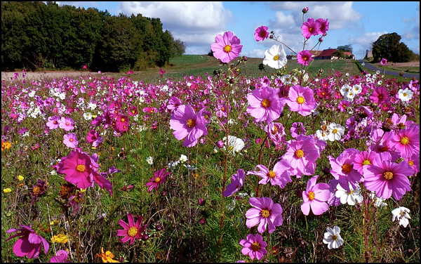 20110330154022_p1110961.jpg 20110330154022_p1110961.jpg