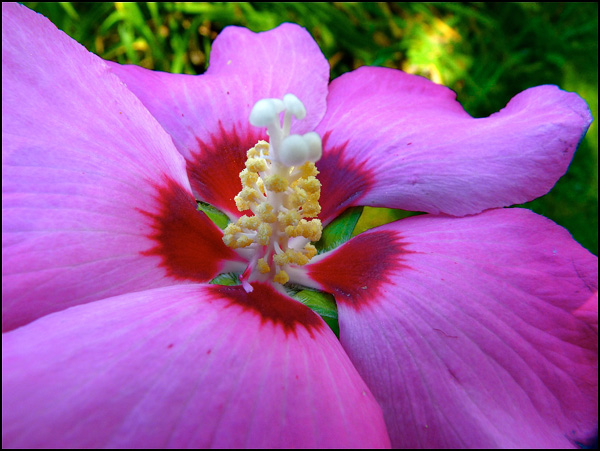 20110330154023_p1170768_2.jpg 20110330154023_p1170768_2.jpg