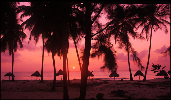 20110330195224__mg_2523___copie.jpg 20110330195224__mg_2523___copie.jpg