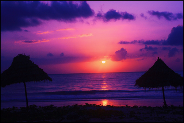 20110330195224__mg_2535.jpg 20110330195224__mg_2535.jpg