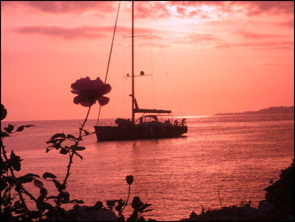 20110330195224_p1020926.jpg 20110330195224_p1020926.jpg