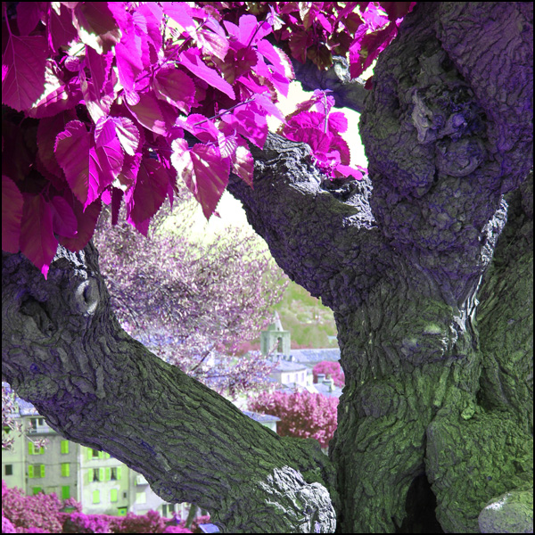 20110330211221_img_0456__2_.jpg 20110330211221_img_0456__2_.jpg