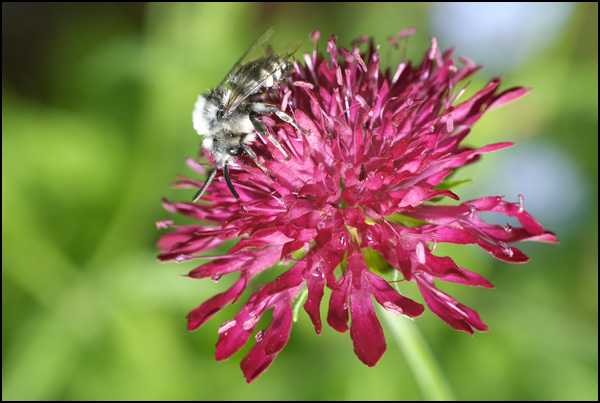 20110330213745_m_4.jpg 20110330213745_m_4.jpg