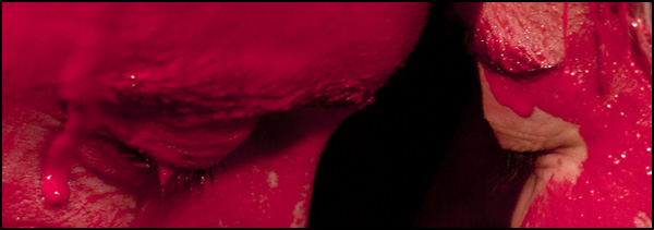 20110330222204_magneta3.jpg 20110330222204_magneta3.jpg