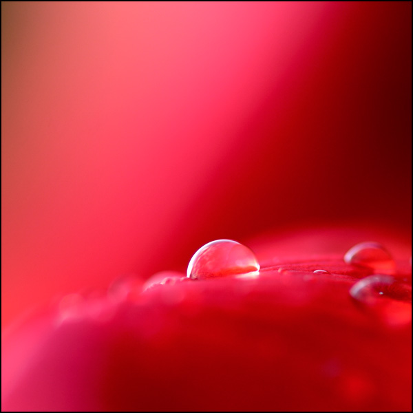 20110330224225_nouveau_monde.jpg 20110330224225_nouveau_monde.jpg