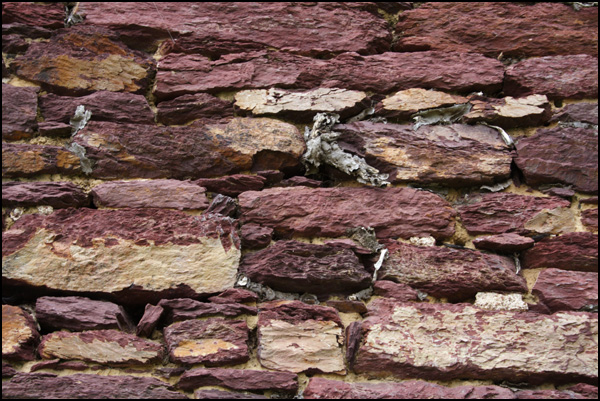 20110330225836_img_6984.jpg 20110330225836_img_6984.jpg