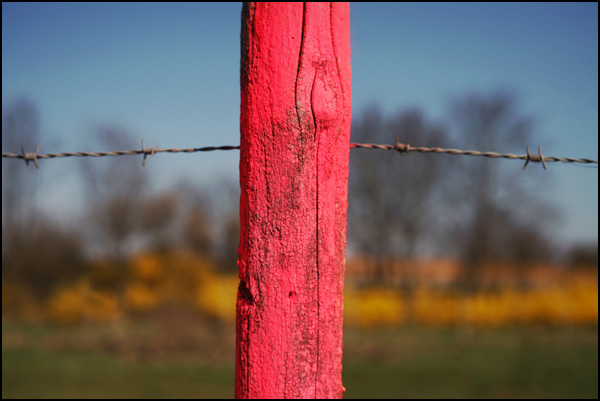 20110330232200_img_8112_copie_copie.jpg 20110330232200_img_8112_copie_copie.jpg