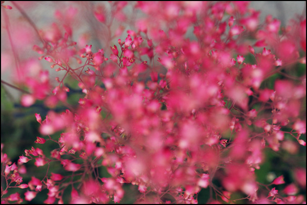 20110330232200_m_9882.jpg 20110330232200_m_9882.jpg