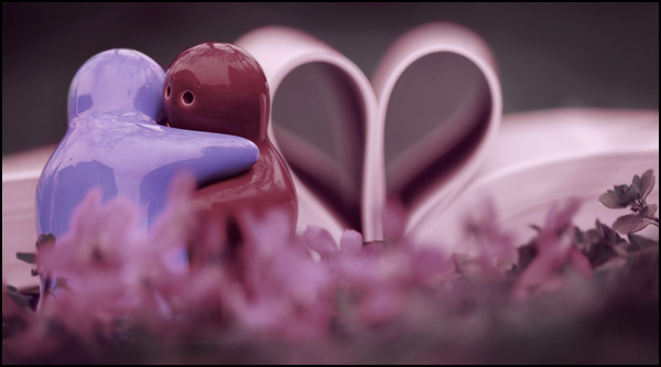 20110331225117_copie_de_copie_de_img_3340.jpg 20110331225117_copie_de_copie_de_img_3340.jpg