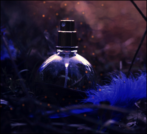 20110331225117_finale__2_jpg.jpg 20110331225117_finale__2_jpg.jpg