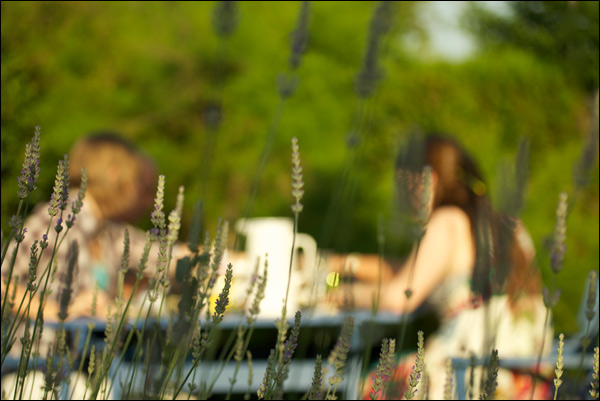 20110516184601_douceur_d_ete.jpg 20110516184601_douceur_d_ete.jpg