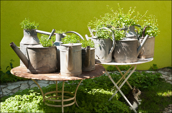 20110517004837_venue_chez_moi.jpg 20110517004837_venue_chez_moi.jpg