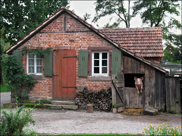 20110518004821_bonjour,_mon_gros_loup.jpg 20110518004821_bonjour,_mon_gros_loup.jpg