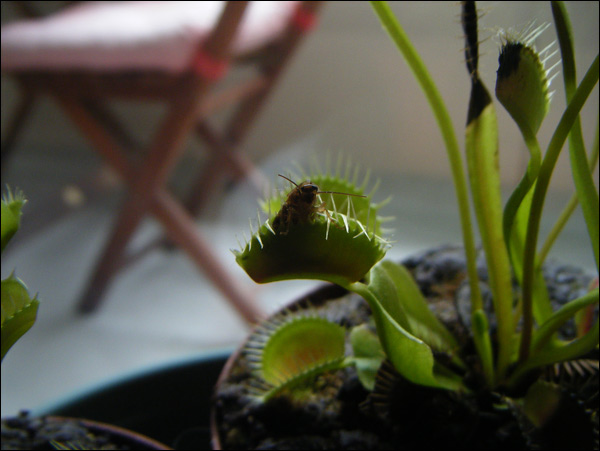 20110522213507_dscf0885.jpg 20110522213507_dscf0885.jpg