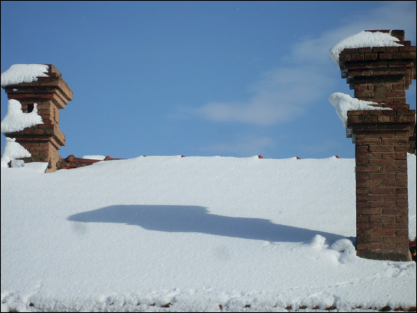 20110523115914_sdc10002_2.jpg 20110523115914_sdc10002_2.jpg