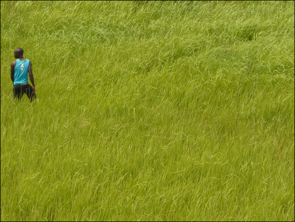 20110523123601_p1010222.jpg 20110523123601_p1010222.jpg