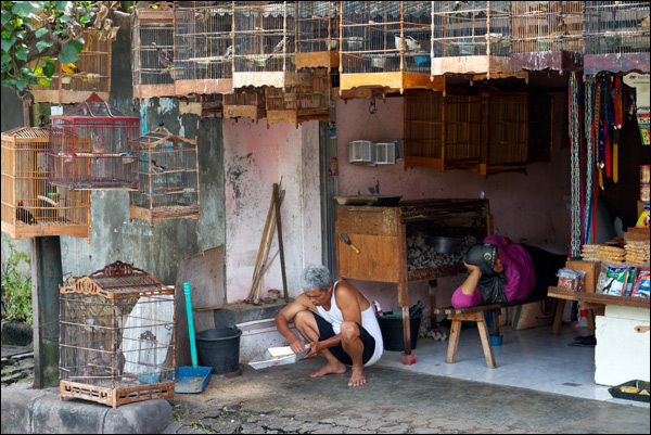 20110523230012_vie_balinaise.jpg 20110523230012_vie_balinaise.jpg