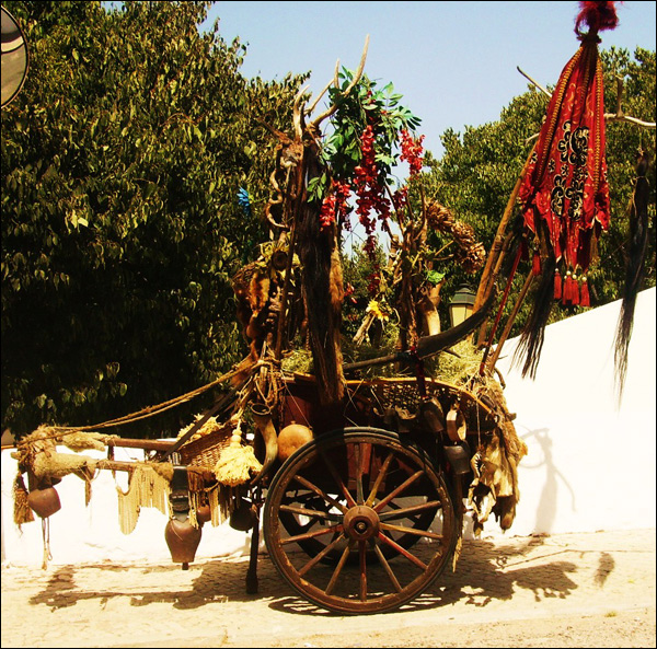 20110525194047_pict0690.jpg 20110525194047_pict0690.jpg