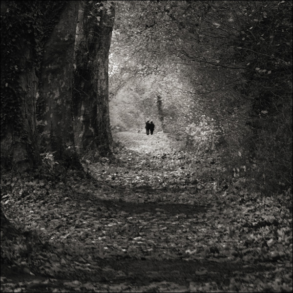 20110518133917_le_couple_s_eloigne___.jpg 20110518133917_le_couple_s_eloigne___.jpg