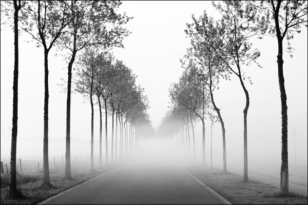 20110520155209_absence.jpg 20110520155209_absence.jpg