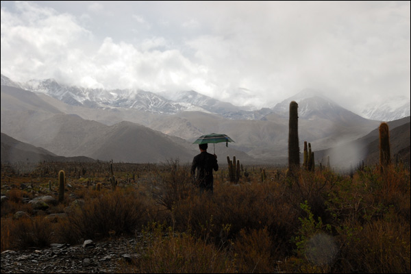 20110523190843_dsc_0174.jpg 20110523190843_dsc_0174.jpg