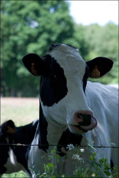 20110527195601_dsc_0033.jpg 20110527195601_dsc_0033.jpg