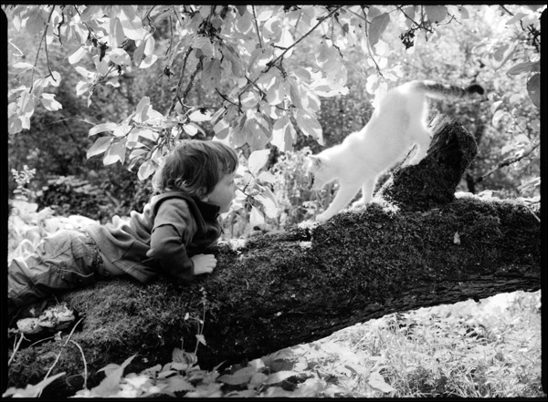 20110527120053_photo_e_dubost.jpg 20110527120053_photo_e_dubost.jpg