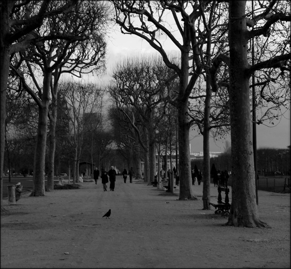 20110528135841_in_paris.jpg 20110528135841_in_paris.jpg