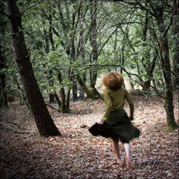 20110527153701_le_bois_d_alice.jpg 20110527153701_le_bois_d_alice.jpg