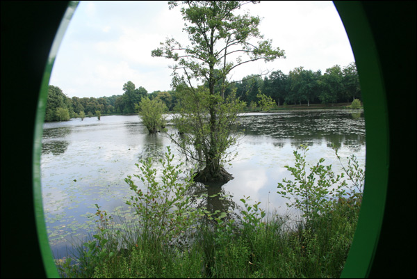 20110530172651_l_etang 20110530172651_l_etang