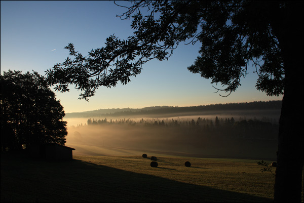 20110531200115_img_0016 20110531200115_img_0016