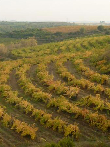 20110602084636_oegenie_novembre_2009_004 20110602084636_oegenie_novembre_2009_004