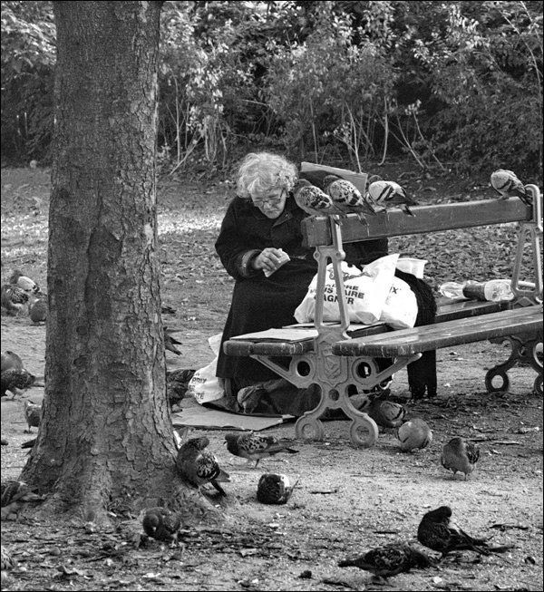 20110530163241_la_vielle_dame_sdf_et_les_pigeons 20110530163241_la_vielle_dame_sdf_et_les_pigeons