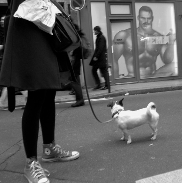 20110531162942_dsc_2585sqbw2 20110531162942_dsc_2585sqbw2