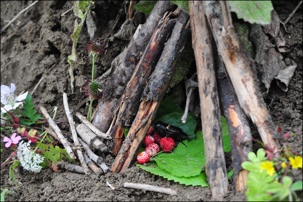 20110602214803_dsc_0850 20110602214803_dsc_0850