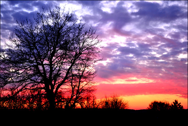 20110602220507_paysage2 20110602220507_paysage2